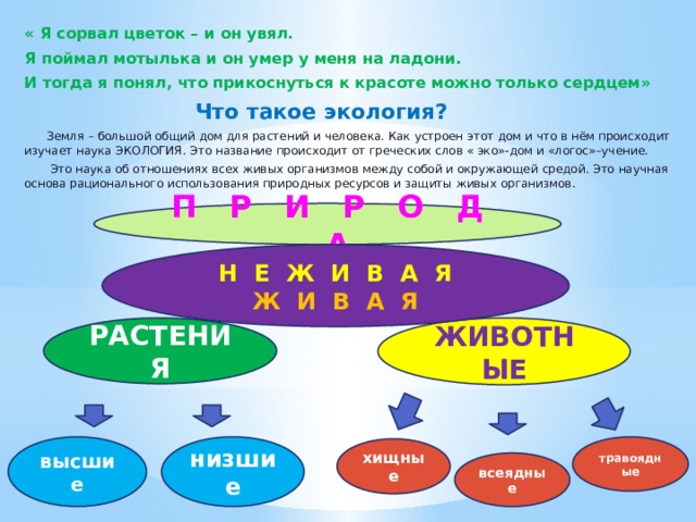 « Я сорвал цветок – и он увял. Я поймал мотылька и он умер у меня на ладони. И тогда я понял, что прикоснуться к красоте можно только сердцем»  Что такое экология?  Земля – большой общий дом для растений и человека. Как устроен этот дом и что в нём происходит изучает наука ЭКОЛОГИЯ. Это название происходит от греческих слов « эко»-дом и «логос»–учение.  Это наука об отношениях всех живых организмов между собой и окружающей средой. Это научная основа рационального использования природных ресурсов и защиты живых организмов. П Р И Р О Д А Н Е Ж И В А Я Ж И В А Я РАСТЕНИЯ ЖИВОТНЫЕ высшие травоядные низшие хищные всеядные 