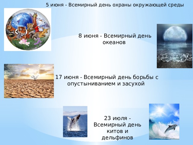 5 июня - Всемирный день охраны окружающей среды    8 июня - Всемирный день океанов    17 июня - Всемирный день борьбы с опустыниванием и засухой   23 июля - Всемирный день китов и дельфинов    