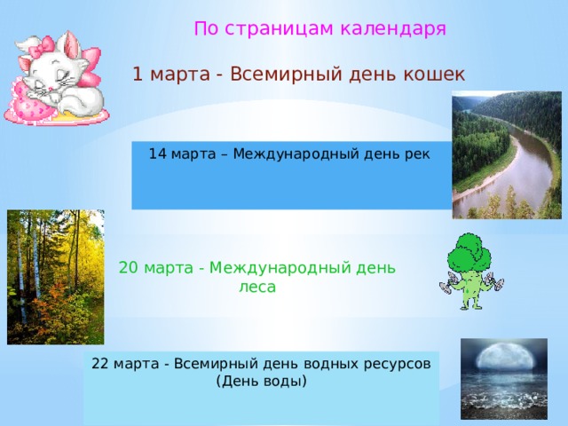  По страницам календаря 1 марта - Всемирный день кошек    14 марта – Международный день рек    20 марта - Международный день леса    22 марта - Всемирный день водных ресурсов (День воды)    