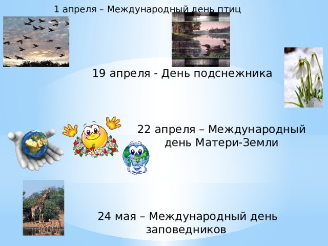 1 апреля – Международный день птиц    19 апреля - День подснежника    22 апреля – Международный день Матери-Земли    24 мая – Международный день заповедников    