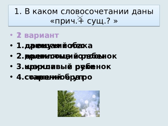 1. В каком словосочетании даны «прич.+ сущ.? » 1 вариант 2 вариант 1.лающая собака 2.волнистые волосы 3.крикливый ребенок 4.солнечное утро 1.дремучий лес 2.дремлющий ребенок 3.шершавые руки 4.старший брат 