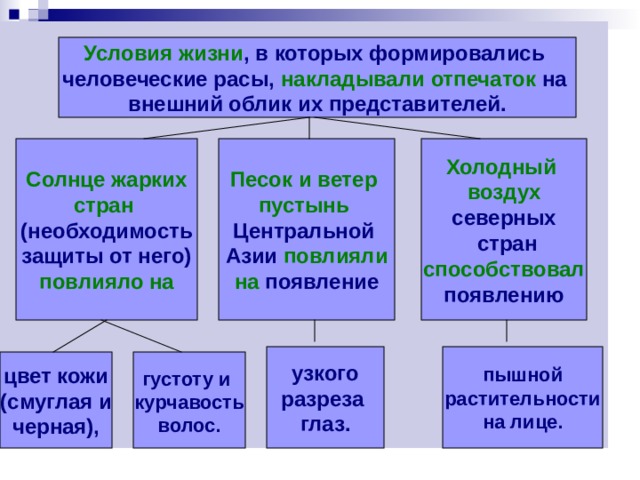 Условия жизни , в которых формировались человеческие расы, накладывали отпечаток на внешний облик их представителей. Песок и ветер  пустынь  Солнце жарких Холодный воздух северных  стран Центральной Азии повлияли стран способствовал (необходимость защиты от него) на появление появлению повлияло на узкого разреза глаз. пышной растительности на лице. цвет кожи (смуглая и черная),  густоту и курчавость волос.  
