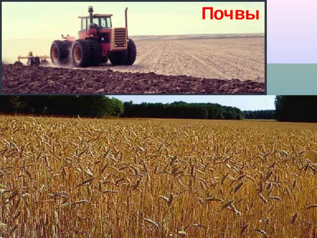  Почвы 