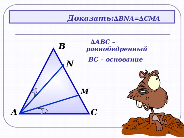 Доказать: ∆ ВNA=∆CMA ∆ АВС – равнобедренный  ВС – основание  В N M С А 