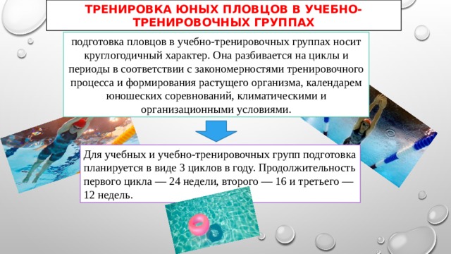 ТРЕНИРОВКА ЮНЫХ ПЛОВЦОВ В УЧЕБНО-ТРЕНИРОВОЧНЫХ ГРУППАХ подготовка пловцов в учебно-тренировочных группах носит круглогодичный характер. Она разбивается на циклы и периоды в соответствии с закономерностями тренировочного процесса и формирования растущего организма, календарем юношеских соревнований, климатическими и организационными условиями. Для учебных и учебно-тренировочных групп подготовка планируется в виде 3 циклов в году. Продолжительность первого цикла — 24 недели, второго — 16 и третьего — 12 недель. 