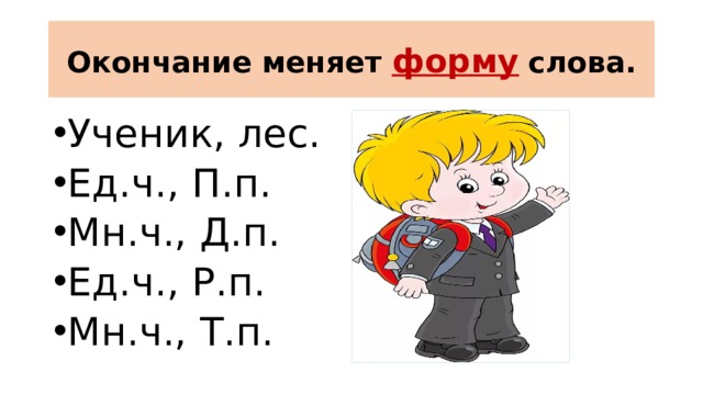 Окончание меняет форму  слова. Ученик, лес. Ед.ч., П.п. Мн.ч., Д.п. Ед.ч., Р.п. Мн.ч., Т.п. 