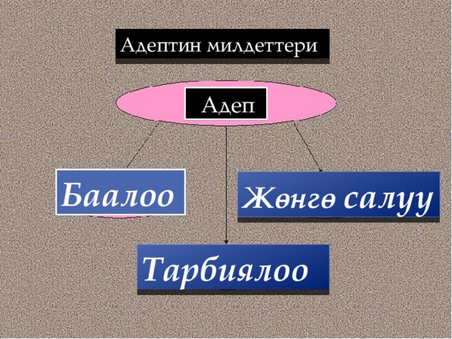 Адептин милдеттери  Адеп Баалоо Жөнгө салуу Тарбиялоо 