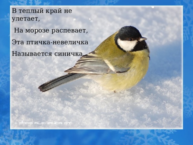 В теплый край не улетает,  На морозе распевает, Эта птичка-невеличка Называется синичка. 