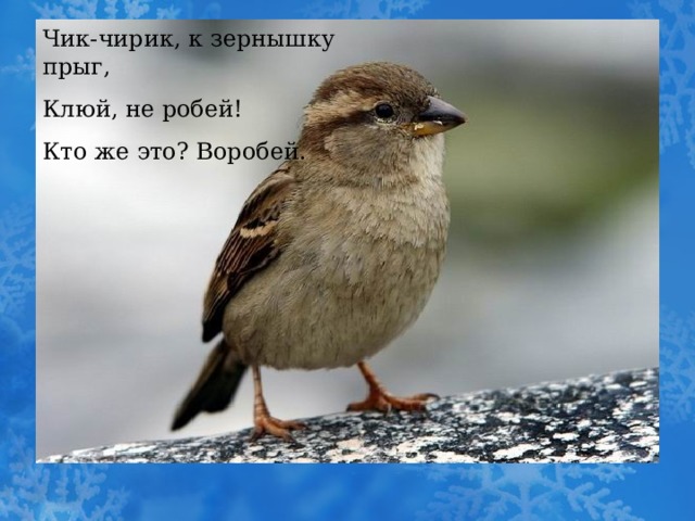 Чик-чирик, к зернышку прыг, Клюй, не робей! Кто же это? Воробей. 