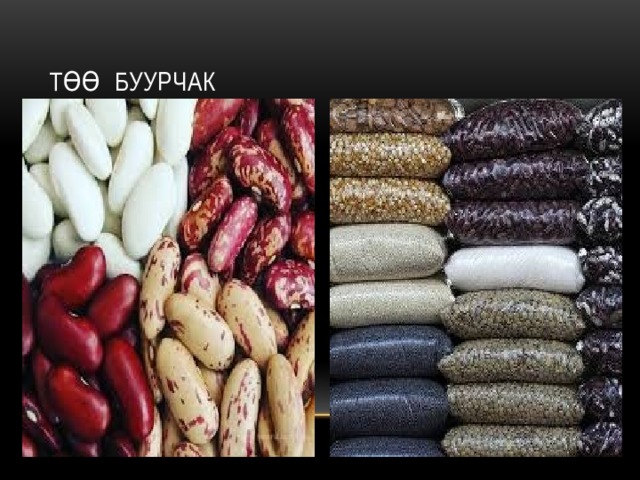 Төө буурчак 