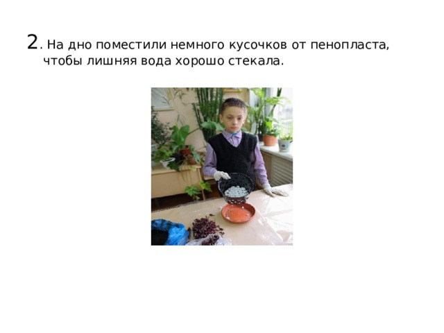 2 . На дно поместили немного кусочков от пенопласта, чтобы лишняя вода хорошо стекала.   