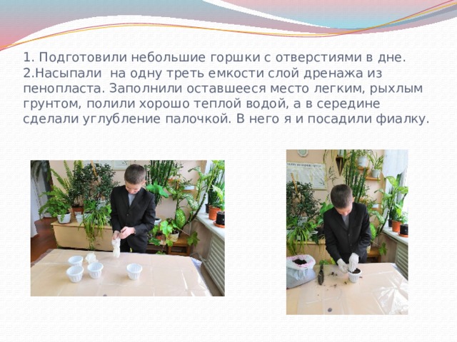 1. Подготовили небольшие горшки с отверстиями в дне.  2.Насыпали на одну треть емкости слой дренажа из пенопласта. Заполнили оставшееся место легким, рыхлым грунтом, полили хорошо теплой водой, а в середине сделали углубление палочкой. В него я и посадили фиалку.   