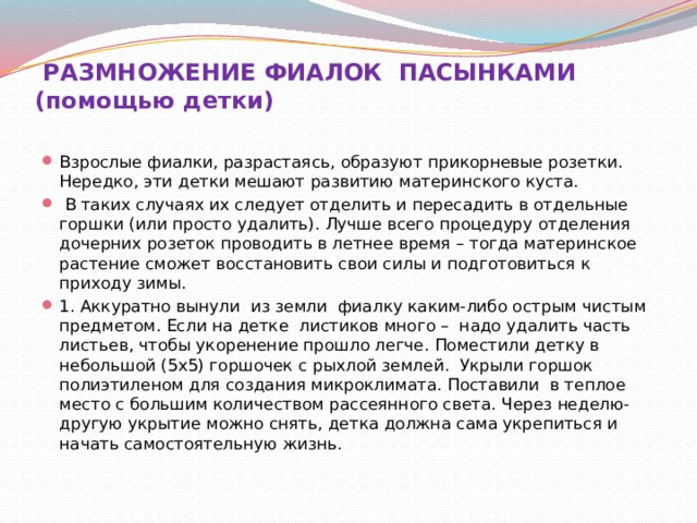  РАЗМНОЖЕНИЕ ФИАЛОК ПАСЫНКАМИ (помощью детки)   Взрослые фиалки, разрастаясь, образуют прикорневые розетки. Нередко, эти детки мешают развитию материнского куста.  В таких случаях их следует отделить и пересадить в отдельные горшки (или просто удалить). Лучше всего процедуру отделения дочерних розеток проводить в летнее время – тогда материнское растение сможет восстановить свои силы и подготовиться к приходу зимы. 1. Аккуратно вынули из земли фиалку каким-либо острым чистым предметом. Если на детке листиков много – надо удалить часть листьев, чтобы укоренение прошло легче. Поместили детку в небольшой (5х5) горшочек с рыхлой землей. Укрыли горшок полиэтиленом для создания микроклимата. Поставили в теплое место с большим количеством рассеянного света. Через неделю-другую укрытие можно снять, детка должна сама укрепиться и начать самостоятельную жизнь.    