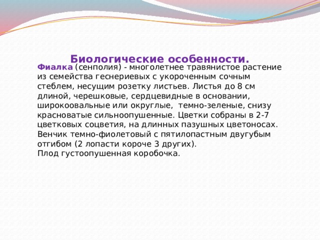     Фиалка  (сенполия) - многолетнее травянистое растение из семейства геснериевых с укороченным сочным стеблем, несущим розетку листьев. Листья до 8 см длиной, черешковые, сердцевидные в основании, широкоовальные или округлые, темно-зеленые, снизу красноватые сильноопушенные. Цветки собраны в 2-7 цветковых соцветия, на длинных пазушных цветоносах. Венчик темно-фиолетовый с пятилопастным двугубым отгибом (2 лопасти короче 3 других).  Плод густоопушенная коробочка.   Биологические особенности. 