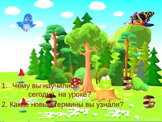 Чему вы научились сегодня на уроке? 2. Какие новые термины вы узнали? 