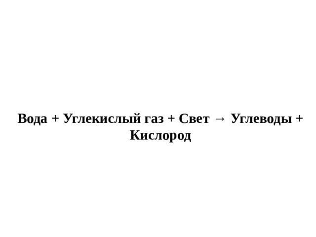Вода + Углекислый газ + Свет → Углеводы + Кислород 