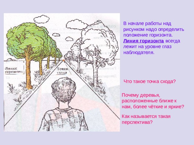 В начале работы над рисунком надо определить положение горизонта. Линия горизонта всегда лежит на уровне глаз наблюдателя. Что такое точка схода? Почему деревья, расположенные ближе к нам, более чёткие и яркие? Как называется такая перспектива? 