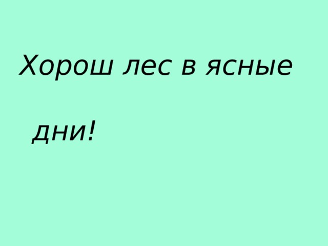 Хорош лес в ясные дни! 