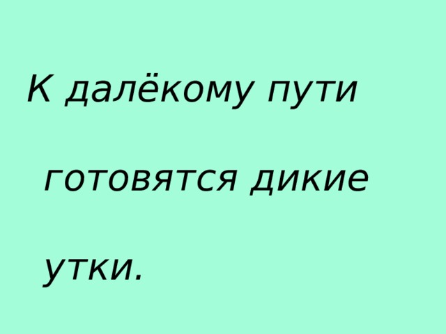 К далёкому пути готовятся дикие утки. 