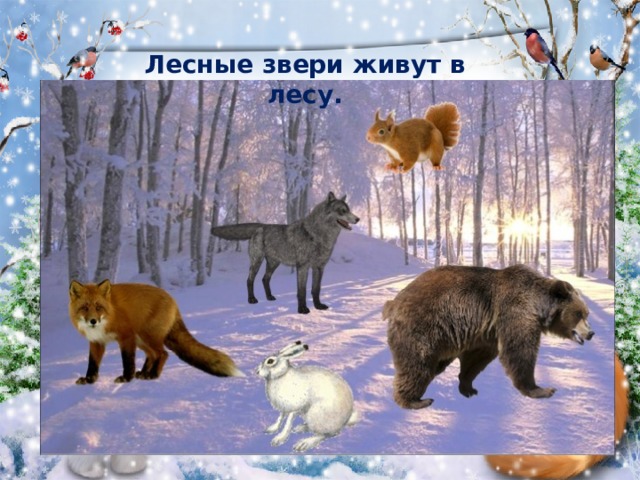 Лесные звери живут в лесу. 