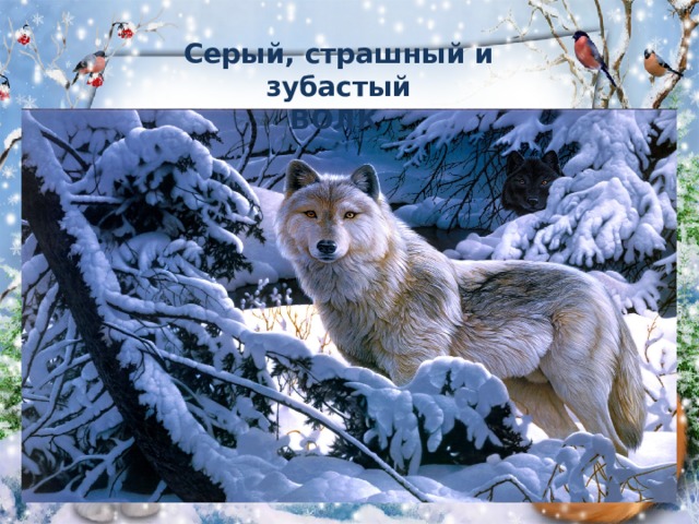 Серый, страшный и зубастый  ВОЛК  
