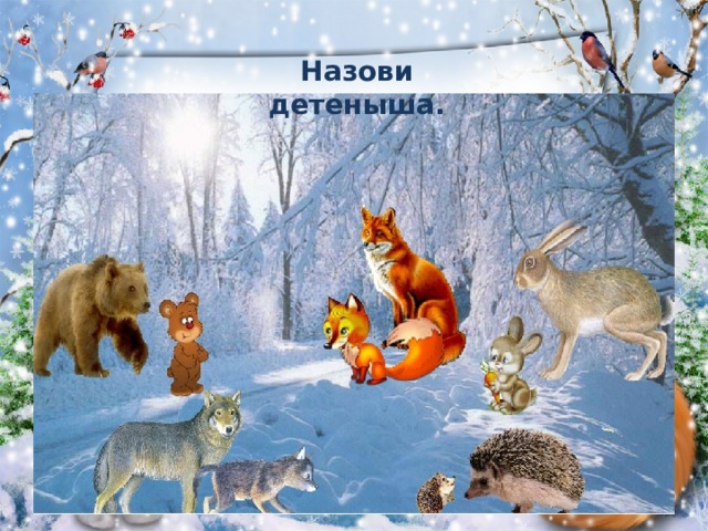 Назови детеныша. 