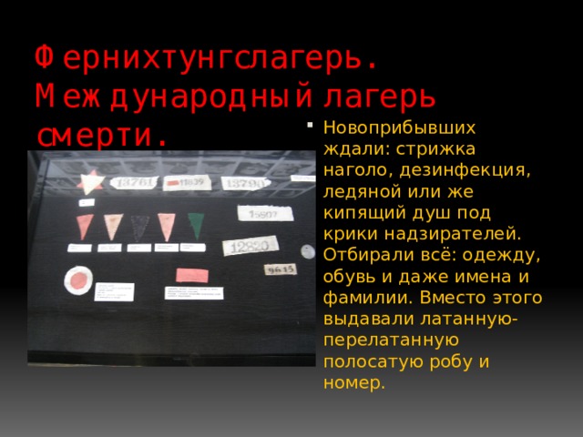 Фернихтунгслагерь. Международный лагерь смерти. Новоприбывших ждали: стрижка наголо, дезинфекция, ледяной или же кипящий душ под крики надзирателей. Отбирали всё: одежду, обувь и даже имена и фамилии. Вместо этого выдавали латанную-перелатанную полосатую робу и номер. 