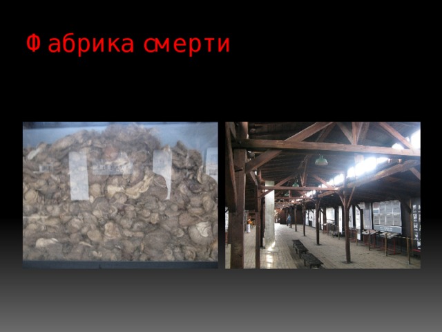 Фабрика смерти 