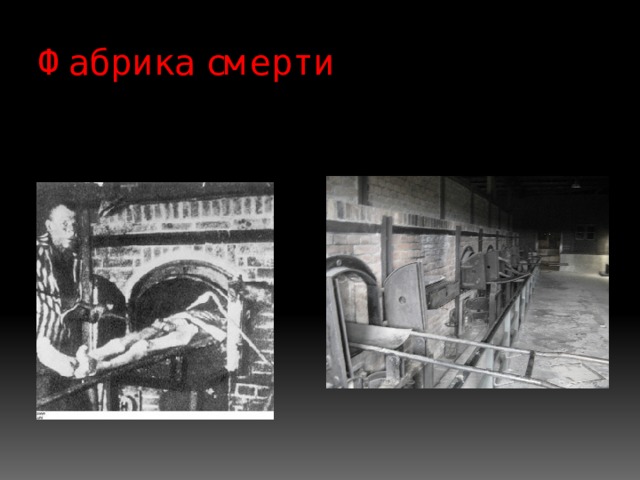 Фабрика смерти 