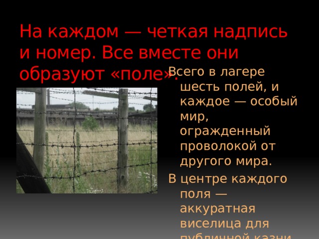 На каждом — четкая надпись и номер. Все вместе они образуют «поле». Всего в лагере шесть полей, и каждое — особый мир, огражденный проволокой от другого мира. В центре каждого поля — аккуратная виселица для публичной казни. 