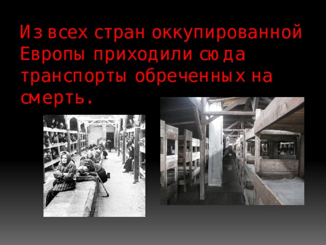Из всех стран оккупированной Европы приходили сюда транспорты обреченных на смерть. 