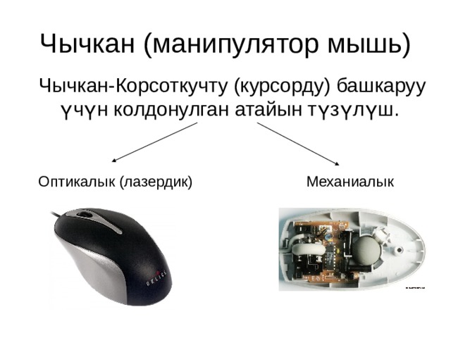 Чычкан (манипулятор мышь) Чычкан-Корсоткучту (курсорду) башкаруу үчүн колдонулган атайын түзүлүш. Оптикалык (лазердик) Механиалык 
