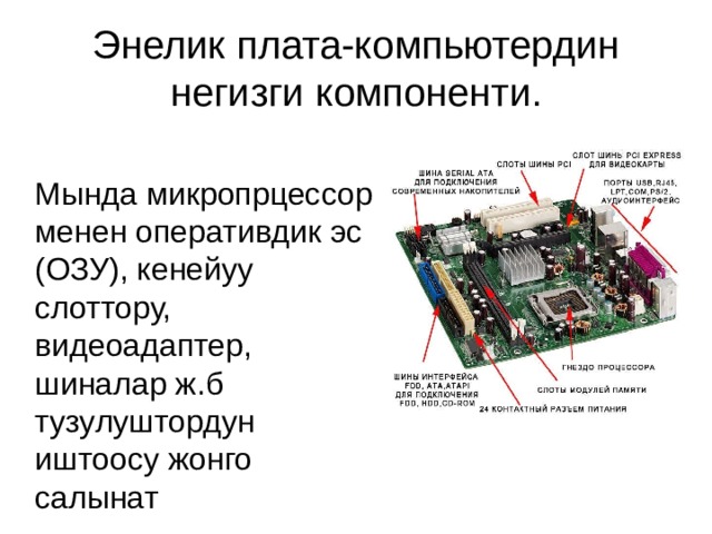 Энелик плата-компьютердин негизги компоненти. Мында микропрцессор менен оперативдик эс (ОЗУ), кенейуу слоттору, видеоадаптер, шиналар ж.б тузулуштордун иштоосу жонго салынат 