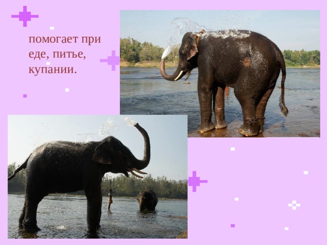 помогает при еде, питье, купании.  