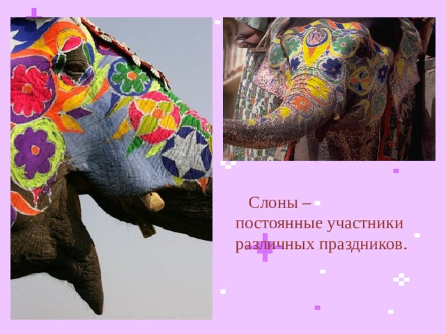  Слоны – постоянные участники различных праздников.  