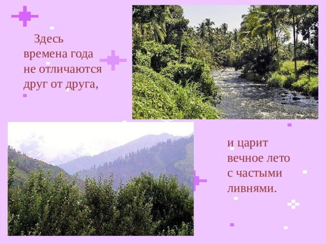  Здесь времена года не отличаются друг от друга, и царит вечное лето с частыми ливнями.  