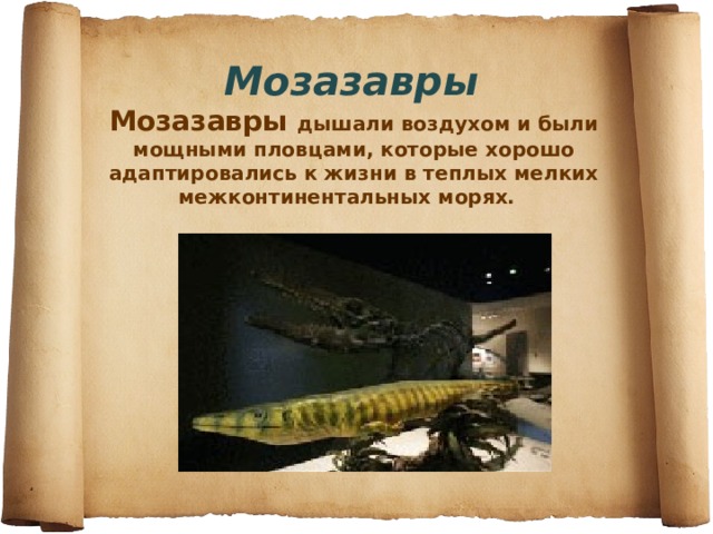   Мозазавры  Мозазавры дышали воздухом и были мощными пловцами, которые хорошо адаптировались к жизни в теплых мелких межконтинентальных морях.        