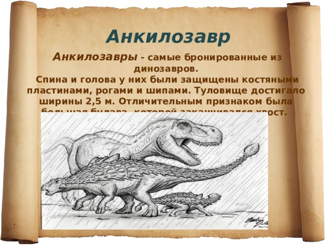   Анкилозавр   Анкилозавры - самые бронированные из динозавров.  Спина и голова у них были защищены костяными пластинами, рогами и шипами. Туловище достигало ширины 2,5 м. Отличительным признаком была большая булава, которой заканчивался хвост.    