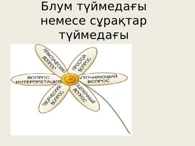 Блум т ү ймеда ғ ы немесе с ұ ра қ тар т ү ймеда ғ ы 