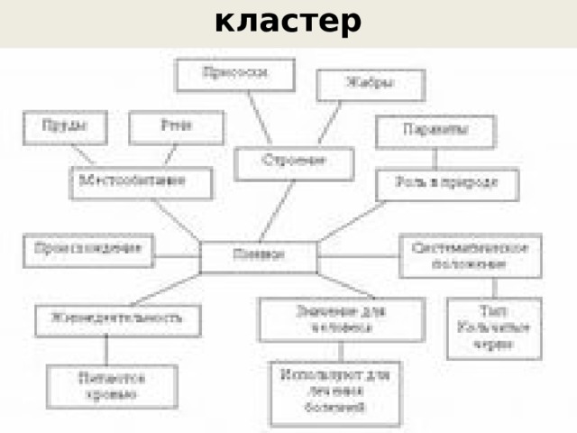 кластер   