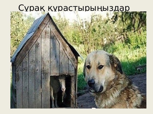Сұрақ құрастырыңыздар 