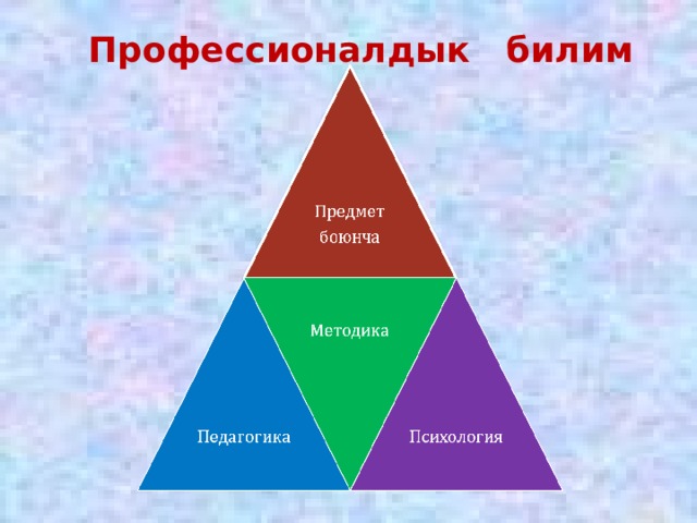 Профессионалдык билим 