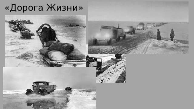 «Дорога Жизни» 