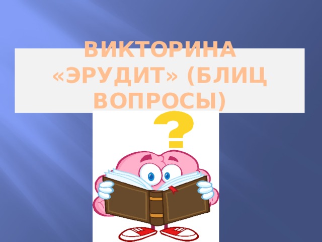 Викторина «Эрудит» (Блиц вопросы) 