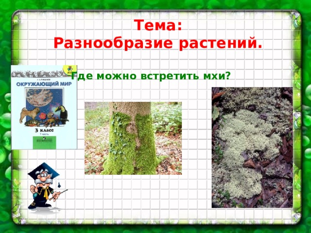 Тема: Разнообразие растений. Где можно встретить мхи? 