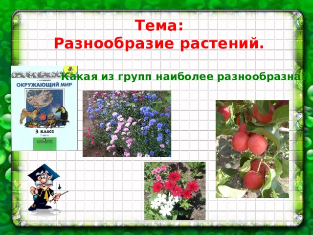 Тема: Разнообразие растений. Какая из групп наиболее разнообразна? 