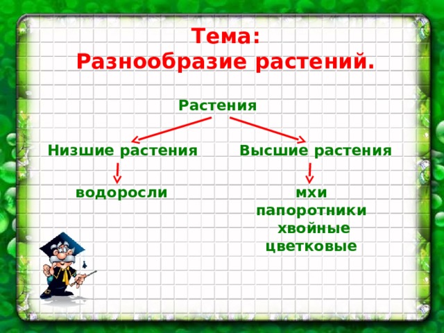 Тема: Разнообразие растений. Растения Низшие растения Высшие растения водоросли мхи папоротники  хвойные цветковые 
