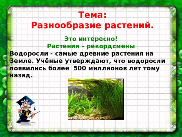Тема: Разнообразие растений. Это интересно! Растения – рекордсмены Водоросли - самые древние растения на Земле. Учёные утверждают, что водоросли появились более 500 миллионов лет тому назад.  