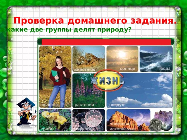 Проверка домашнего задания. - На какие две группы делят природу?    