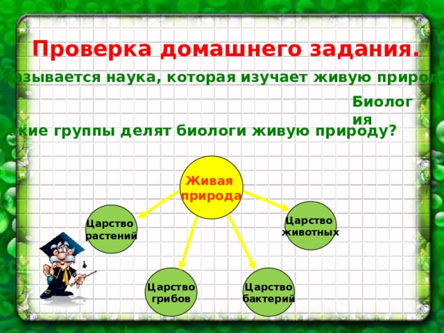 Проверка домашнего задания.    Как называется наука, которая изучает живую природу?    На какие группы делят биологи живую природу? Биология Живая природа Царство животных Царство растений Царство Царство бактерий грибов 